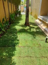 images (2)
