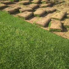 images (4)