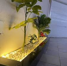 images (8)